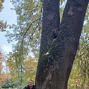 �����, 39 ���, ��������