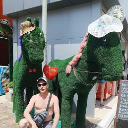 ���������, ����, 38 ���