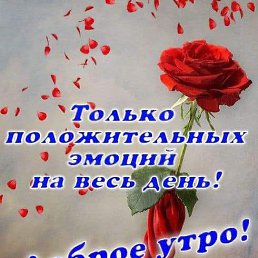 ���� ������ ���������, ������-��-����, 65 ��� - ��������� 22 ������� 2024