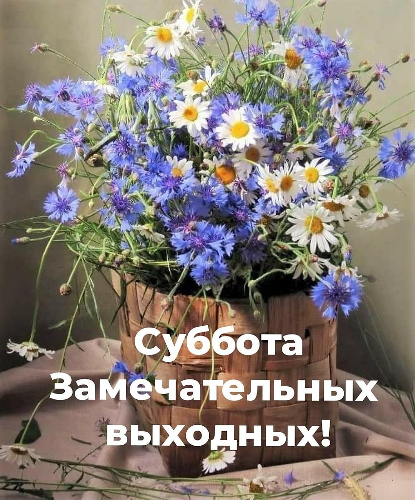   ,    . - 18  2025  23:01