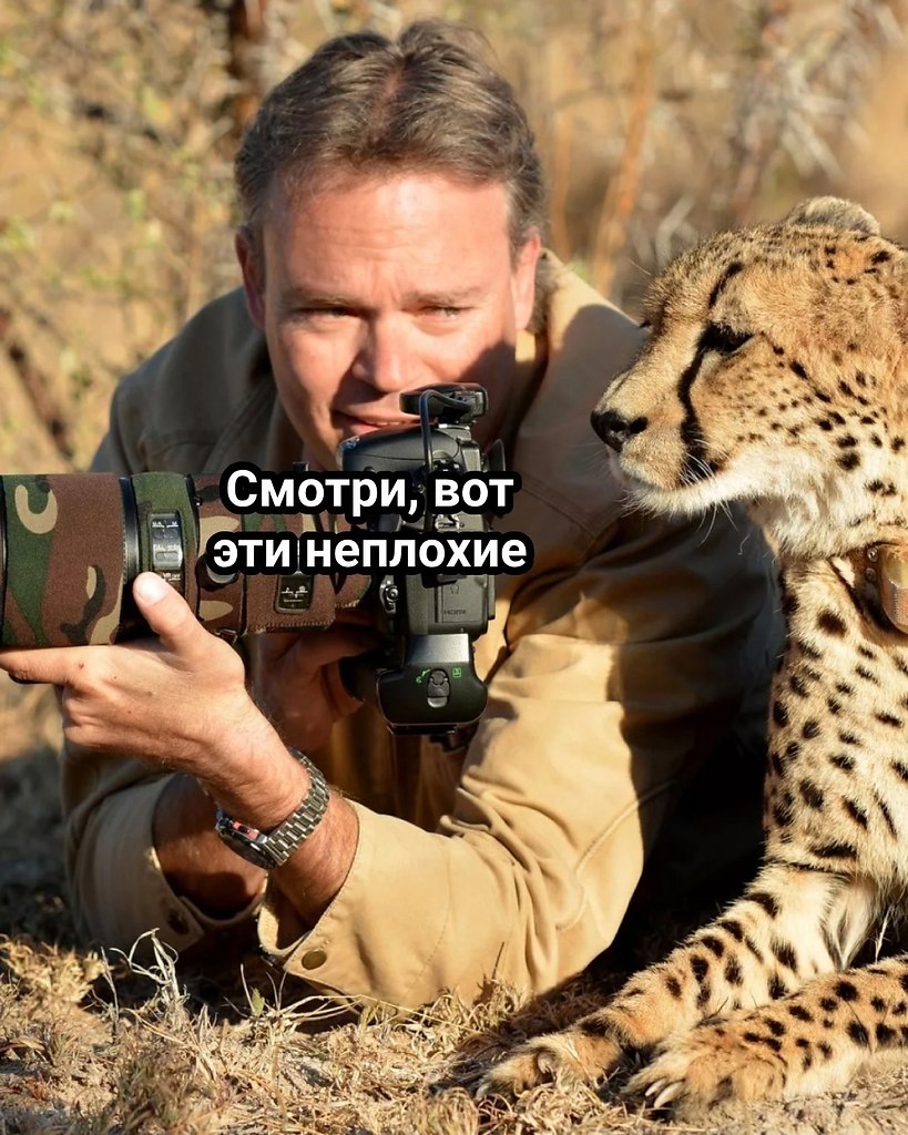 .. - 26  2025  10:21 - 2