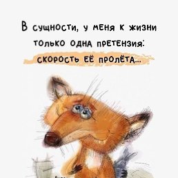 ���� �����, �������, 38 ��� - ��������� 23 ������ 2024