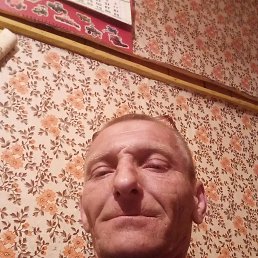 , 49, 