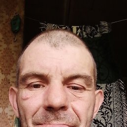 , 38 , 