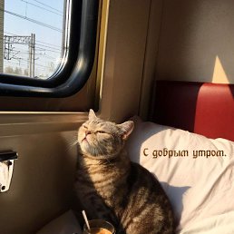 ���� ����, ������, 59 ��� - ��������� 22 ����� 2024