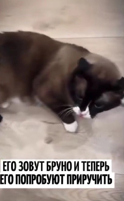   !