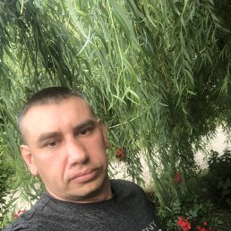 , 39, 