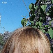 , 40 , 