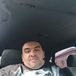 , 41, 