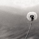 ���� �������, ������������, 67 ��� - ��������� 13 ������� 2024 � ������ ������ ��������