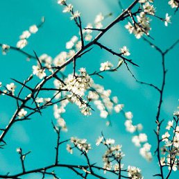 ���� �������, ��������, 74 ���� - ��������� 14 ������ 2024