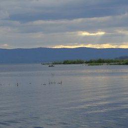 ����, ���������, 35 ���