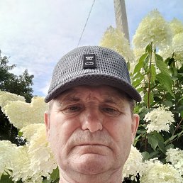 , 64, 