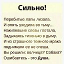 ���� �������, �����-���������, 60 ��� - ��������� 1 ����� 2026 � ������ ���� ����������