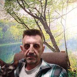 , 51, 