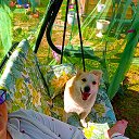  ,   -  23  2024    . -. 