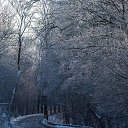 ���� ��������, �����������, 56 ��� - ��������� 21 ������� 2026 � ������ ������ ��������