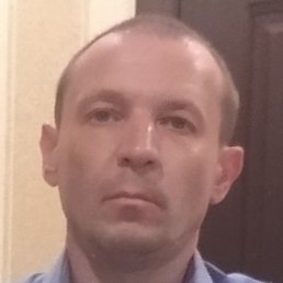 �������, ���������, 41 ���