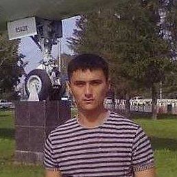 �����, ������, 34 ����