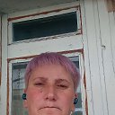 ���� ��������, �������, 44 ���� - ��������� 17 �������� 2025 � ������ ���� ����������