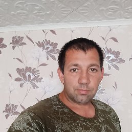 , 38, 