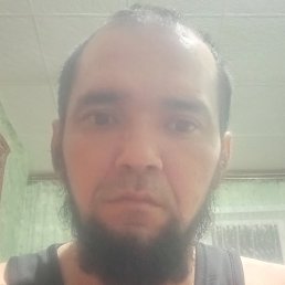 ������ ��������, ����, 37 ���