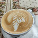 ���� �����, ����� - ��������� 11 ���� 2026 � ������ ������ ��������