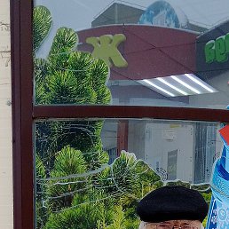 ���� ��������, ��������������, 77 ��� - ��������� 1 ������ 2024