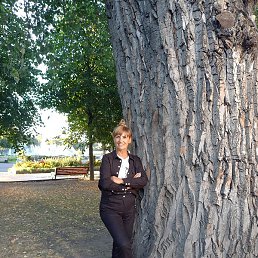 �������� ��������, ������, 67 ���