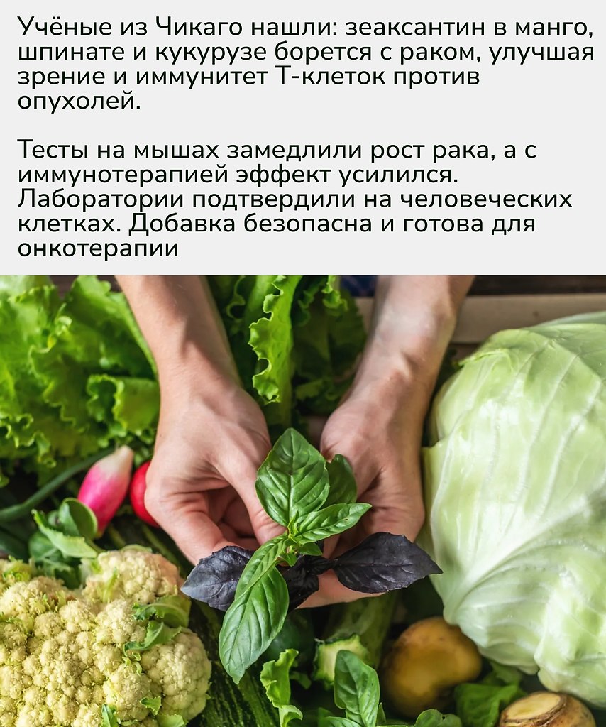  ,       :   ,  ... - 2