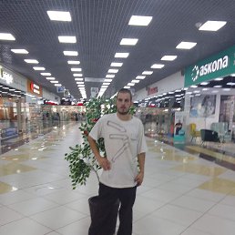 ���� �������, ���������, 32 ���� - ��������� 23 ������ 2025