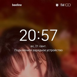 ���� ����������, ����, 39 ��� - ��������� 24 ������� 2025