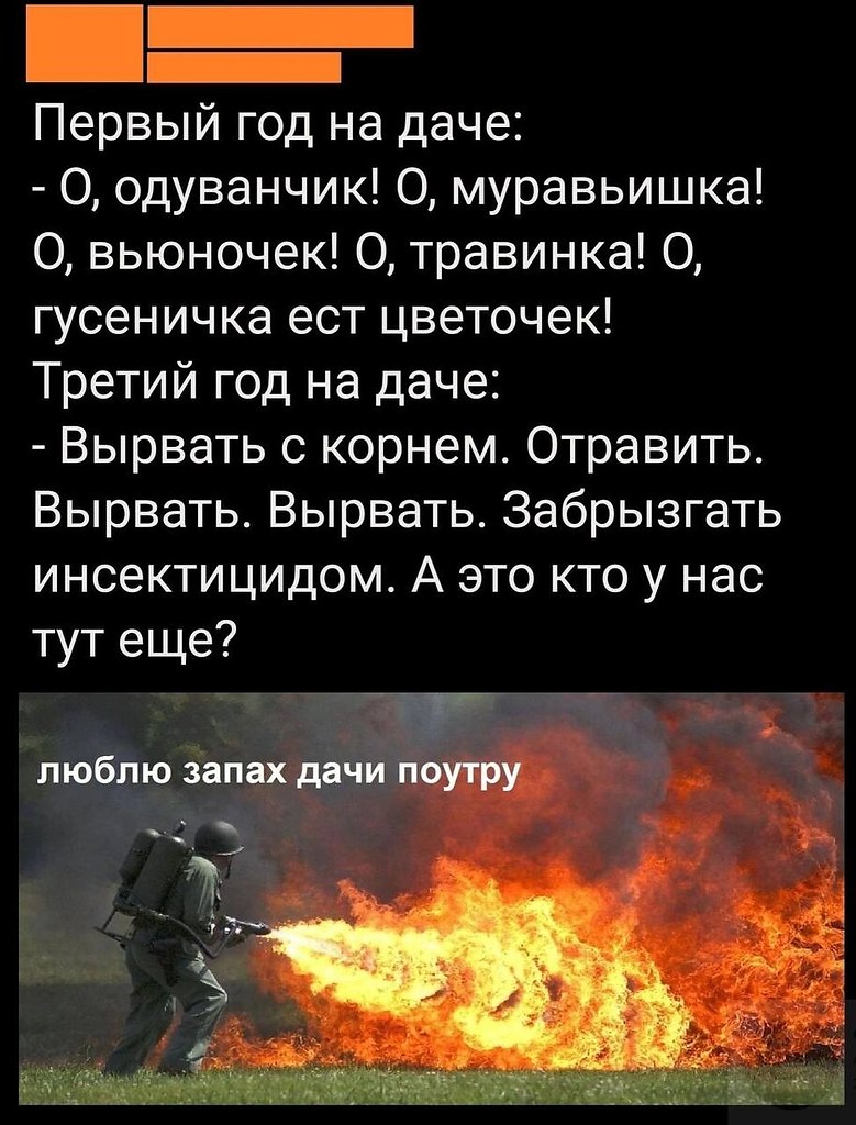   - 14  2025  19:16