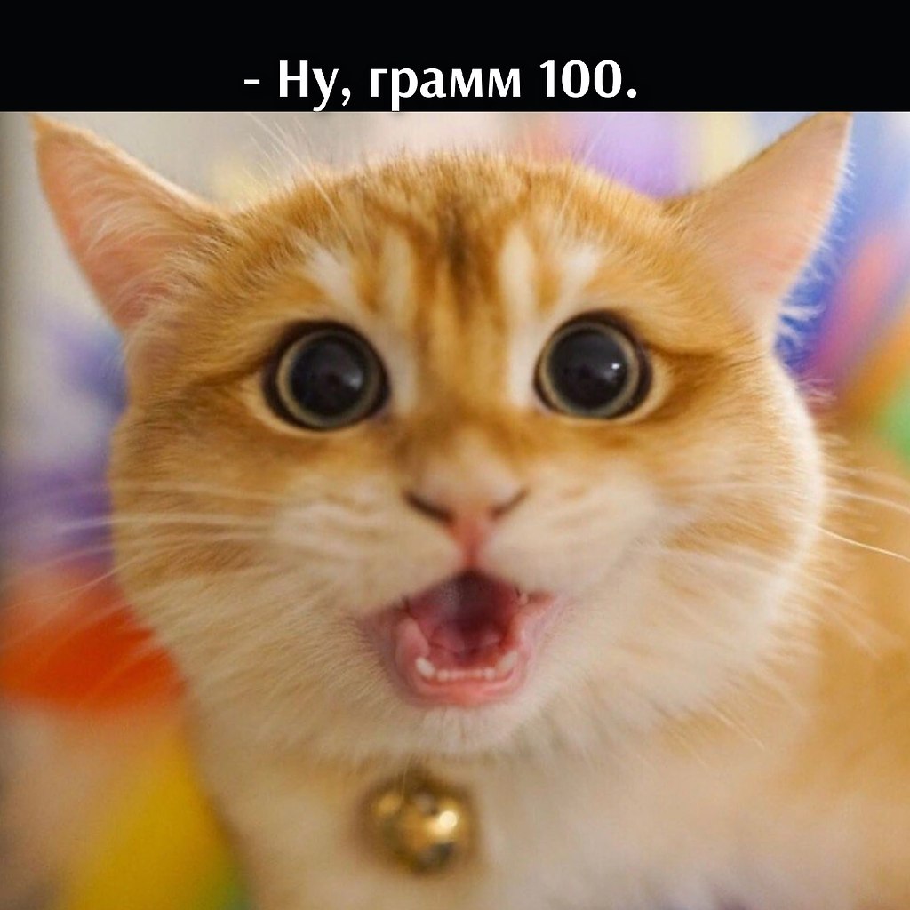 ��� ���� � ����� �� �� - 2 ������ 2026 � 16:33 - 3