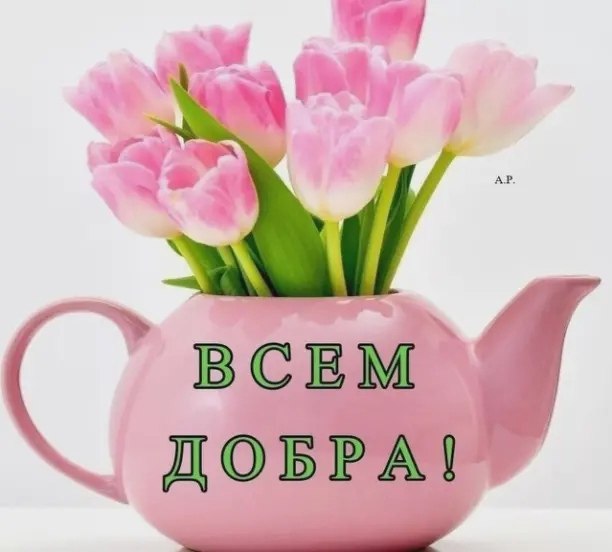 Это стихотворение поэт Александр Наумов написал в ответ на фразу Лаймы Вайкуле о том, что Пугачева ...