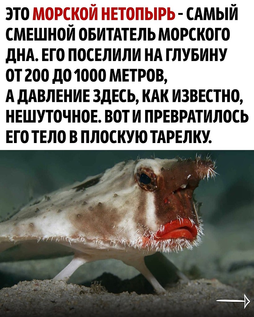     - 2