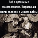 ���� �����, �������, 58 ��� - ��������� 8 ���� 2026 � ������ ���� ����������