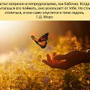 ���� �����, ������ - ��������� 10 ������ 2026 � ������ ������ ��������