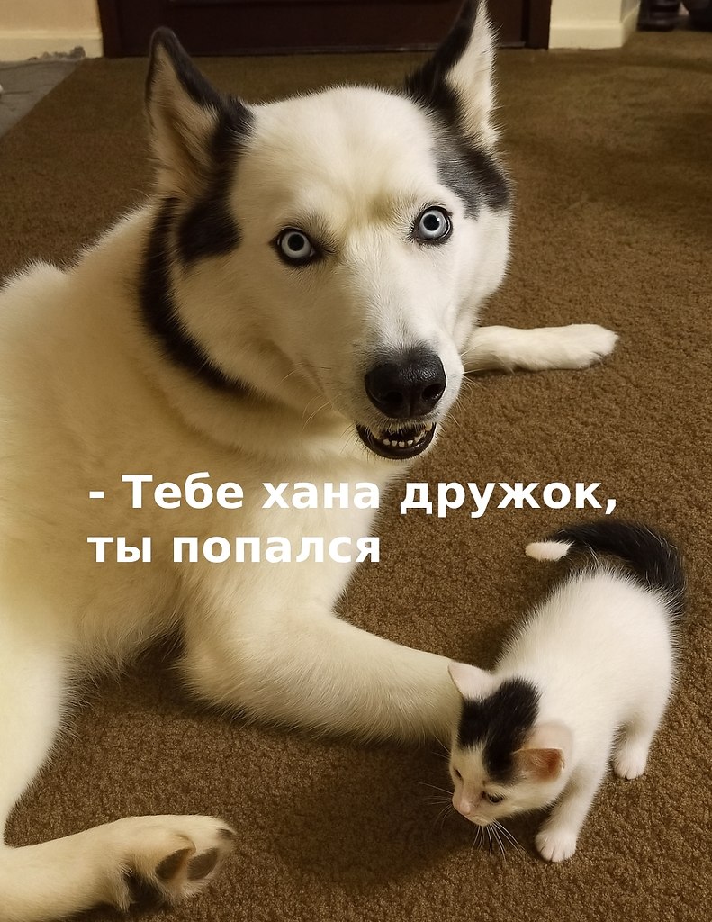    ,   ,    -  ,      ... - 3