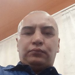 ������, �������, 48 ���