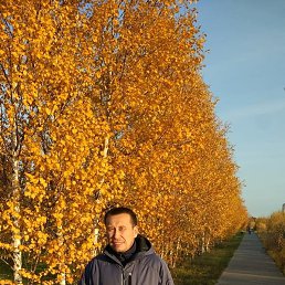 ����, ��������, 53 ����