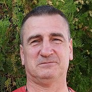 , 53 , 