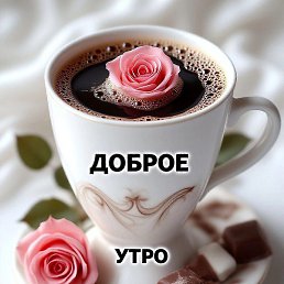 Ali, ������, 51 ���
