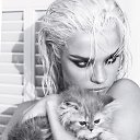 ���� �����, ���������, 45 ��� - ��������� 25 ���� 2025 � ������ ���� ����������