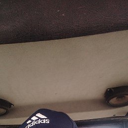 ������, �������, 49 ���