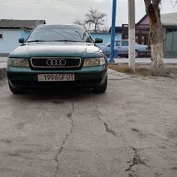 ���� �������, �������, 43 ���� - ��������� 30 ������ 2024