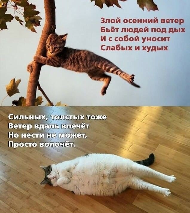  - 31  2023  11:08