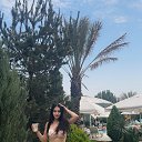 ���� ����, �����������, 28 ��� - ��������� 12 ���� 2026 � ������ ���� ����������