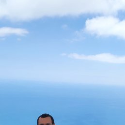 , 37, 