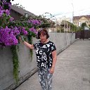 ���� �������, �������, 72 ���� - ��������� 26 ���� 2026 � ������ ���� ����������